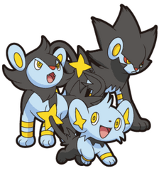 Shinx evol line
