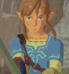 BOTW Link